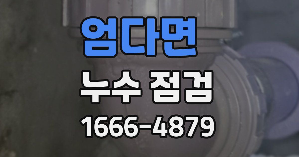 엄다면 누수 점검