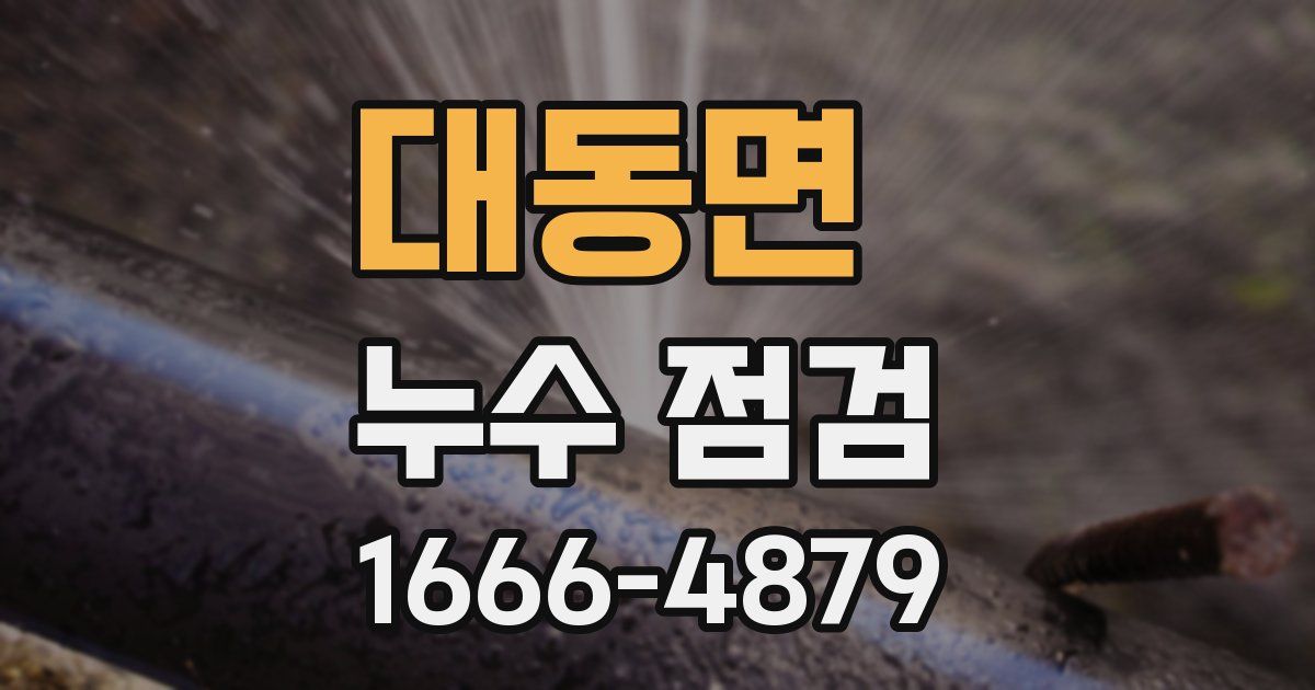대동면 누수 점검