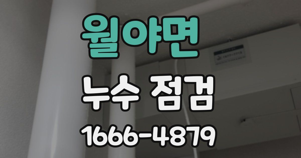 월야면 누수 점검