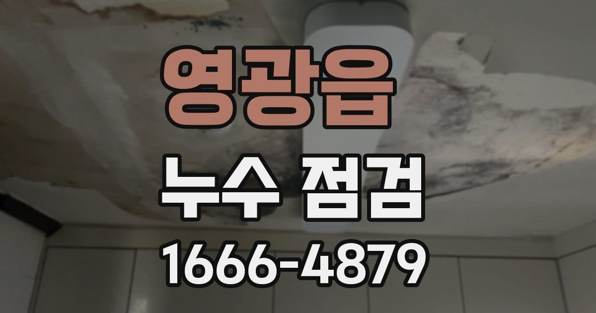 영광읍 누수 점검