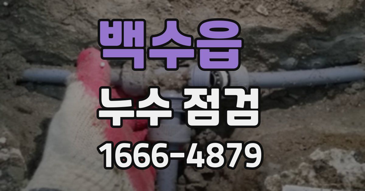 백수읍 누수 점검
