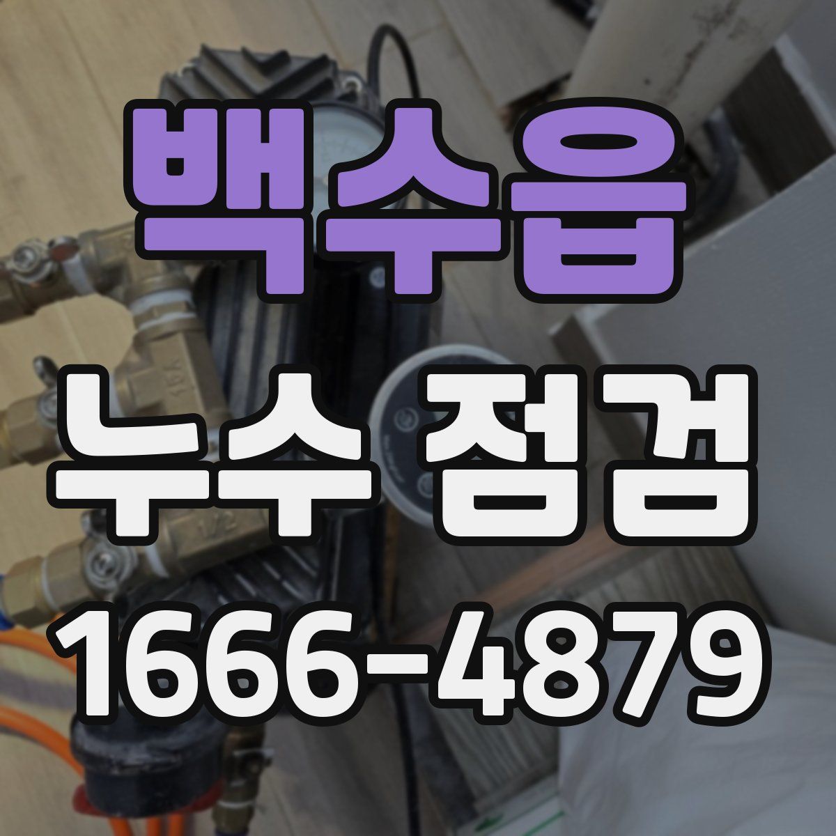 백수읍 누수 점검