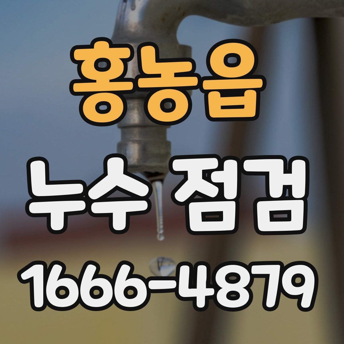 홍농읍 누수 점검