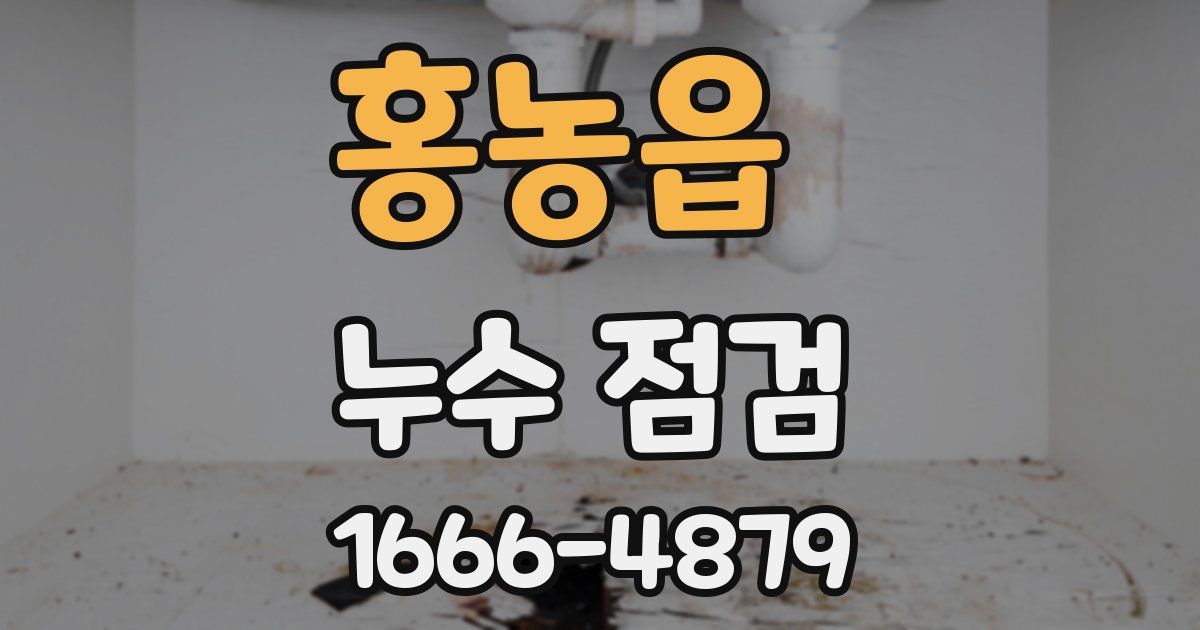 홍농읍 누수 점검