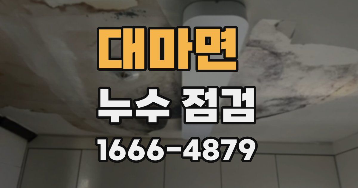 대마면 누수 점검