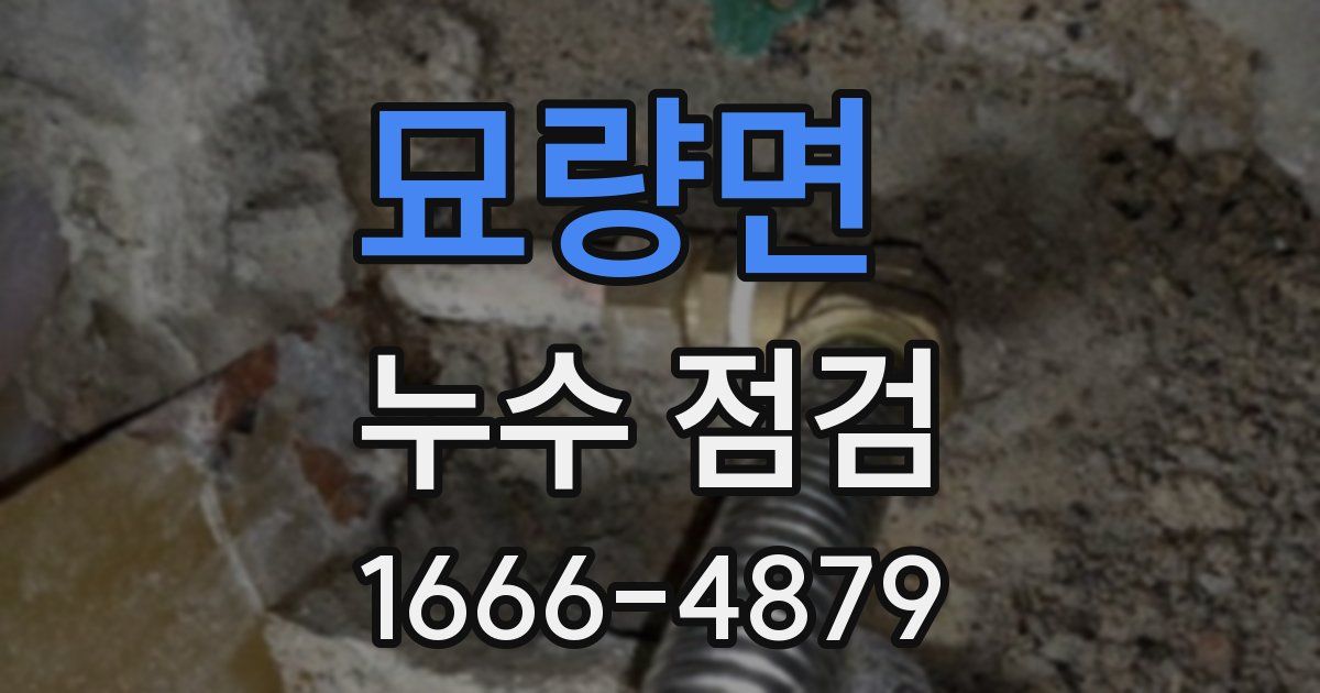 묘량면 누수 점검