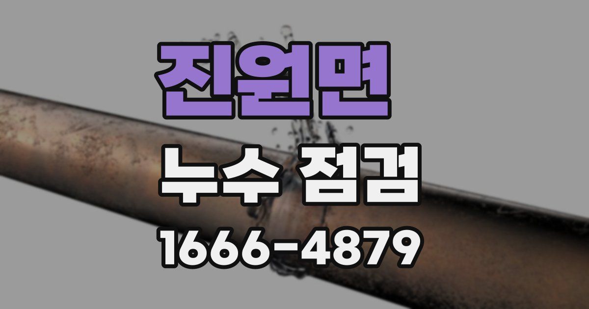 진원면 누수 점검