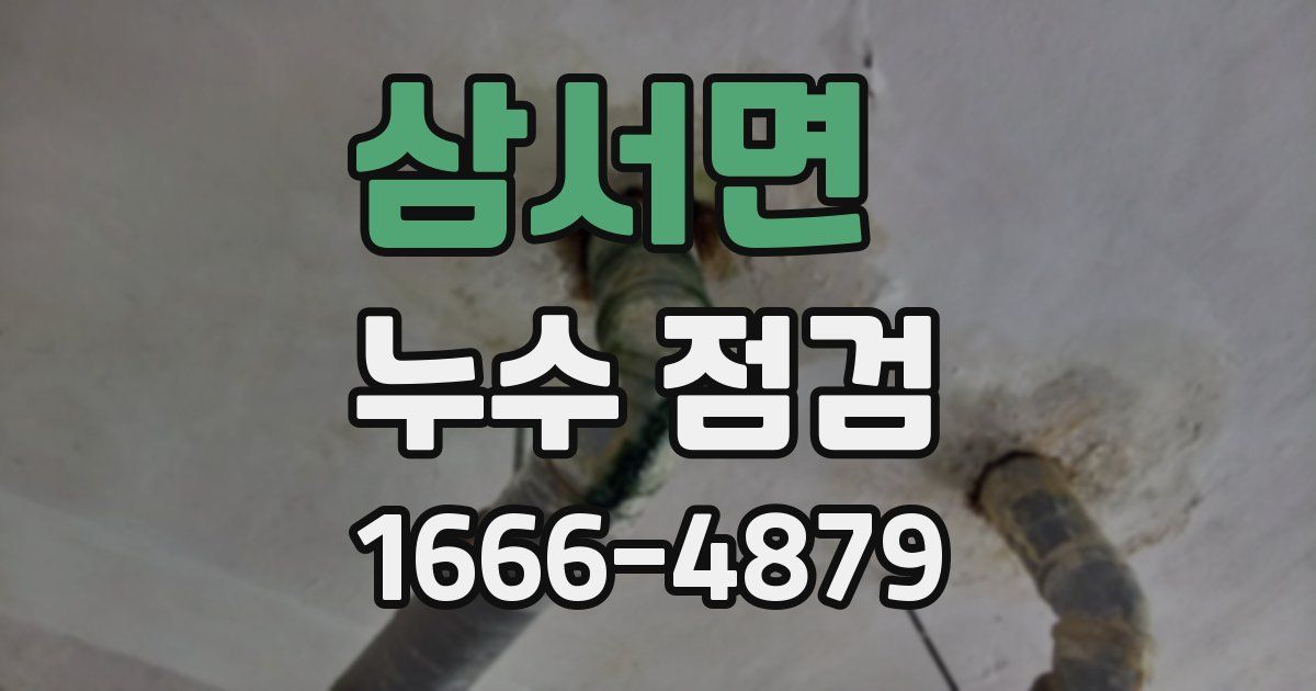 삼서면 누수 점검