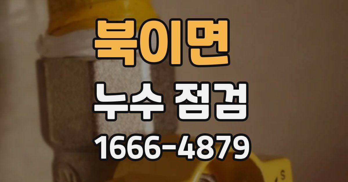 북이면 누수 점검