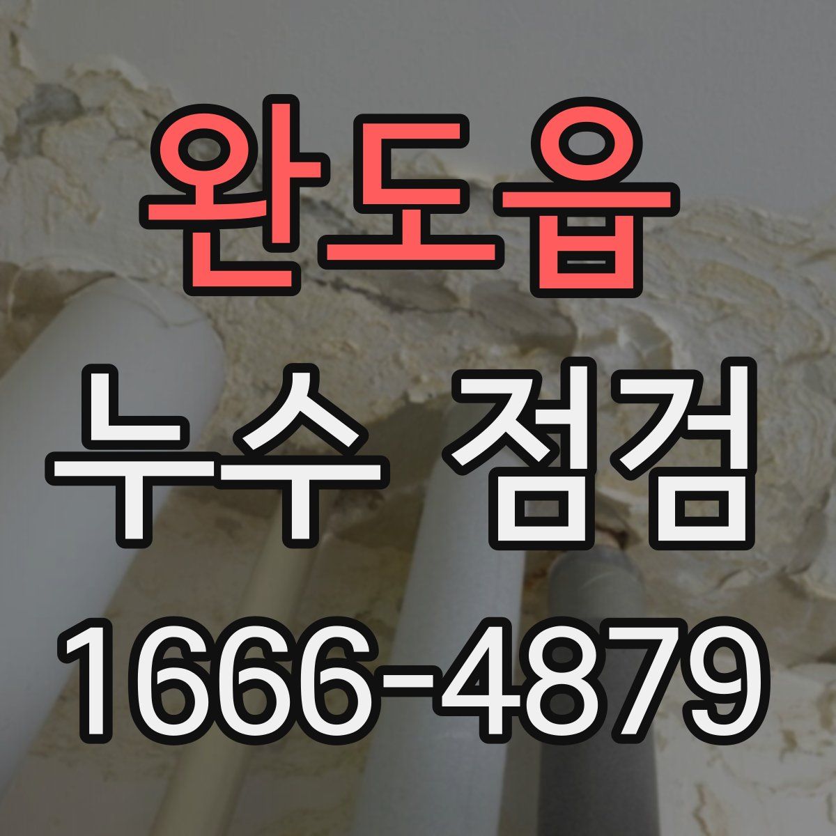 완도읍 누수 점검