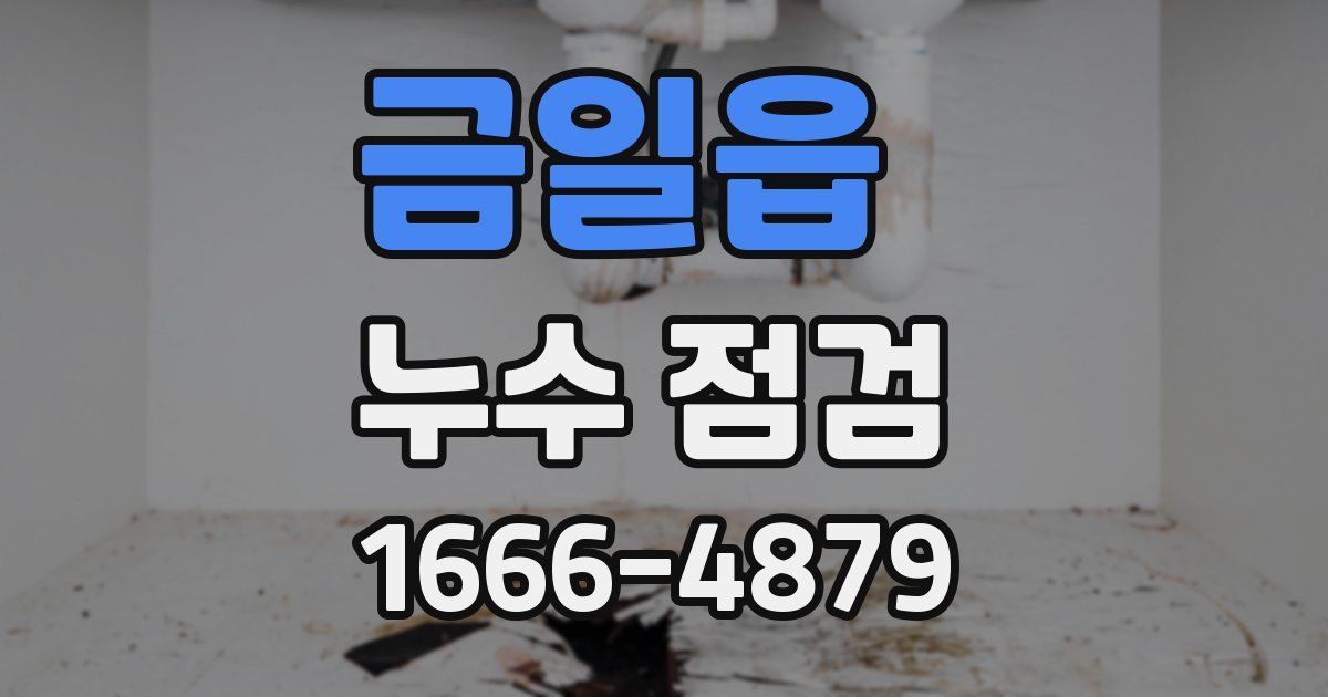 금일읍 누수 점검