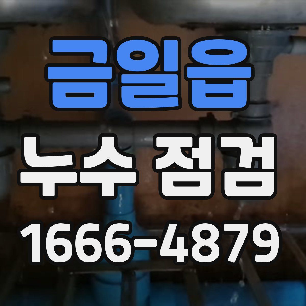 금일읍 누수 점검