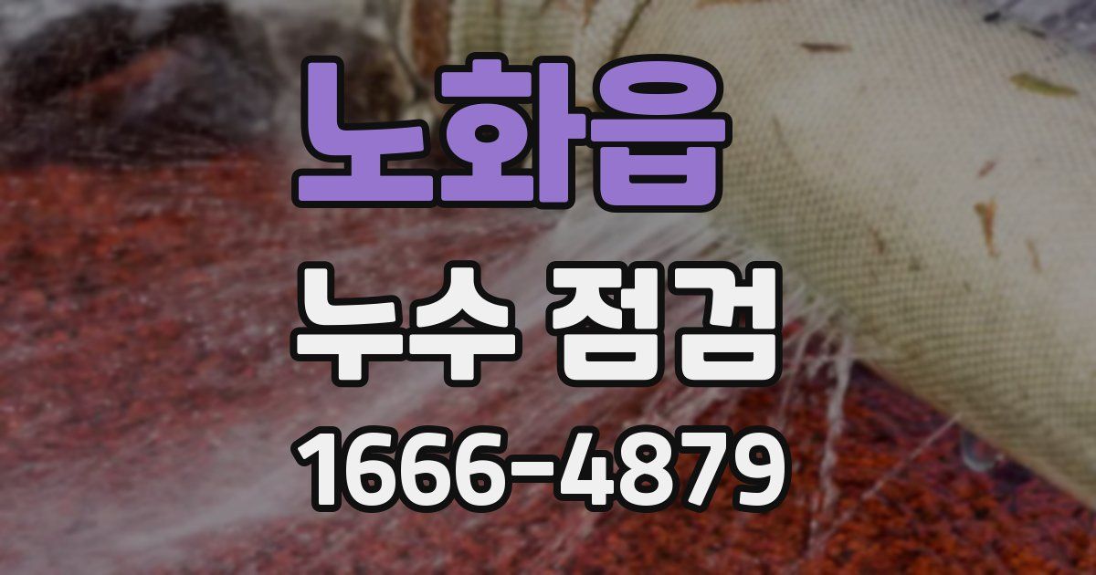 노화읍 누수 점검
