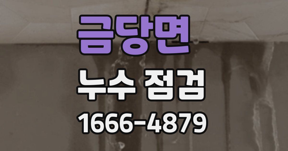 금당면 누수 점검