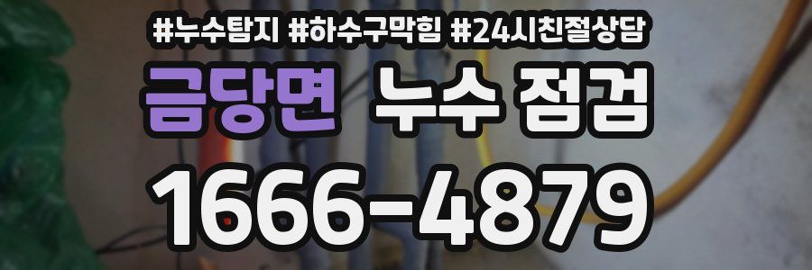 금당면 누수 점검