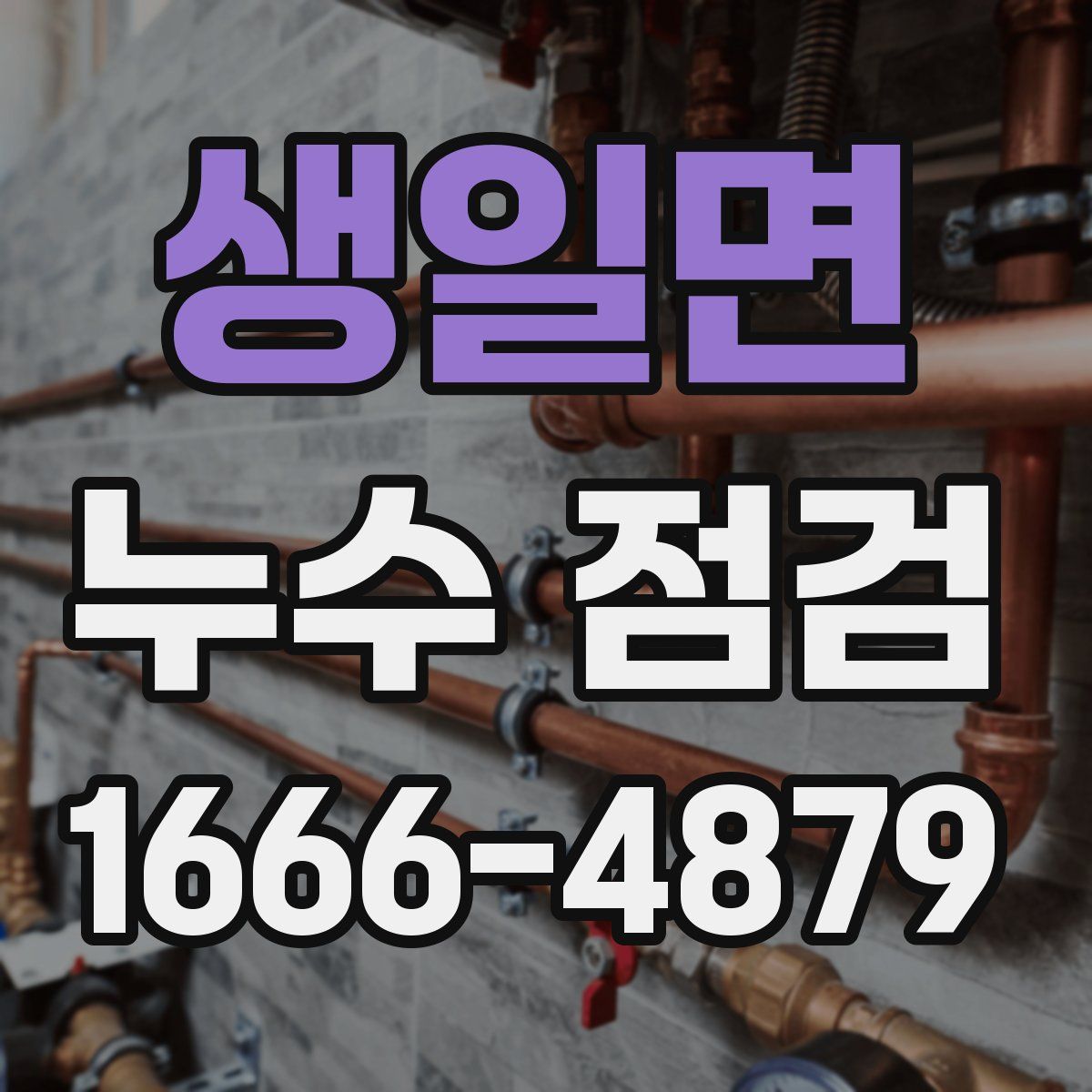 생일면 누수 점검