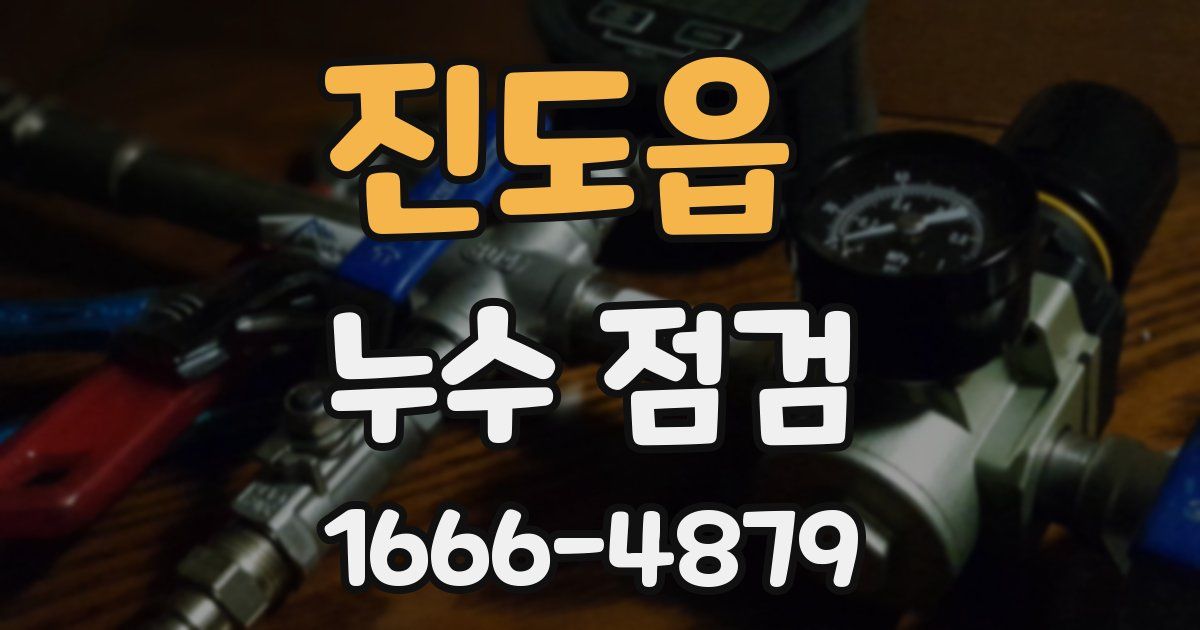 진도읍 누수 점검