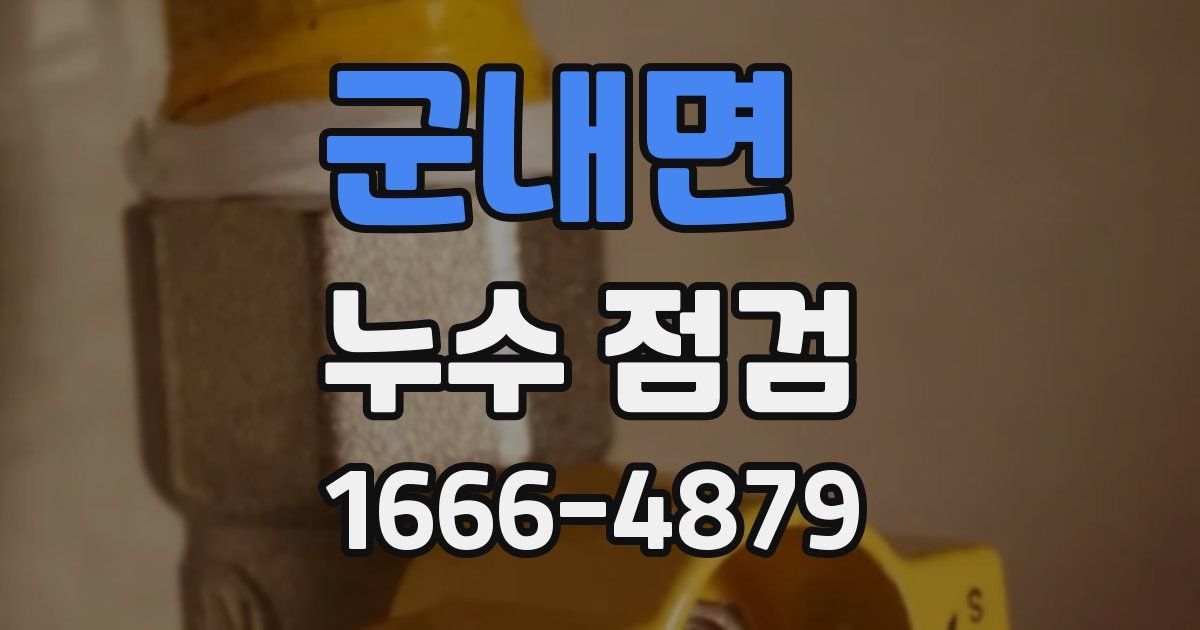 군내면 누수 점검