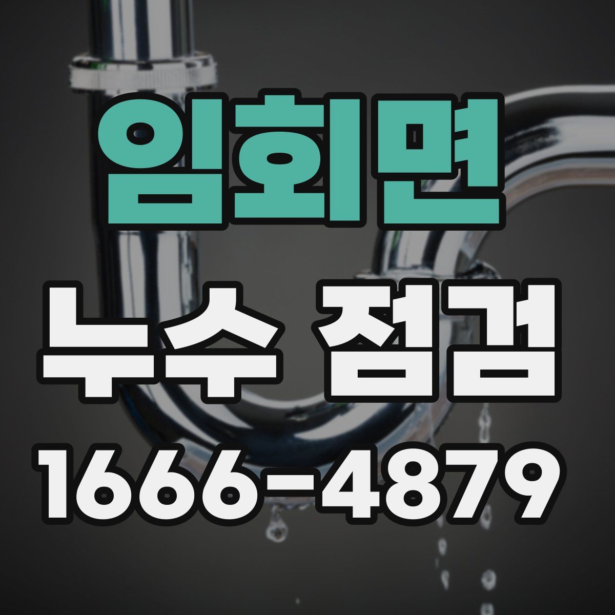 임회면 누수 점검