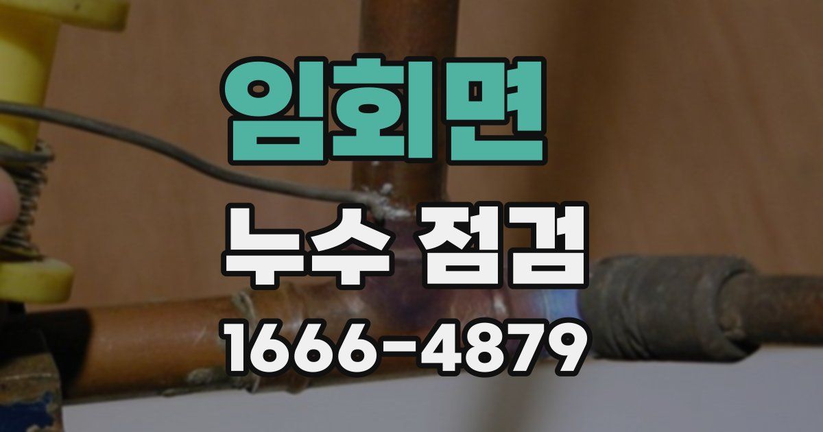 임회면 누수 점검