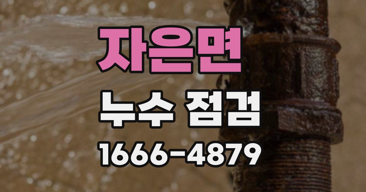 자은면 누수 점검