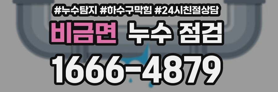 비금면 누수 점검
