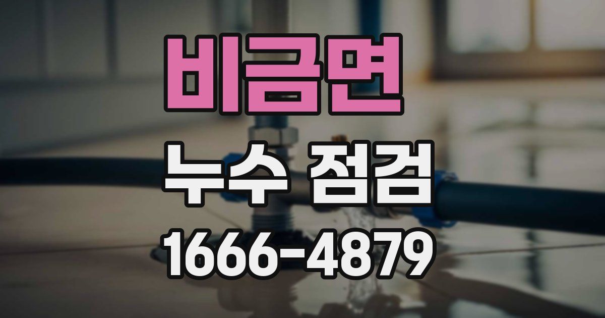 비금면 누수 점검