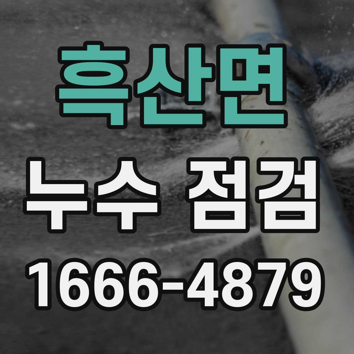흑산면 누수 점검