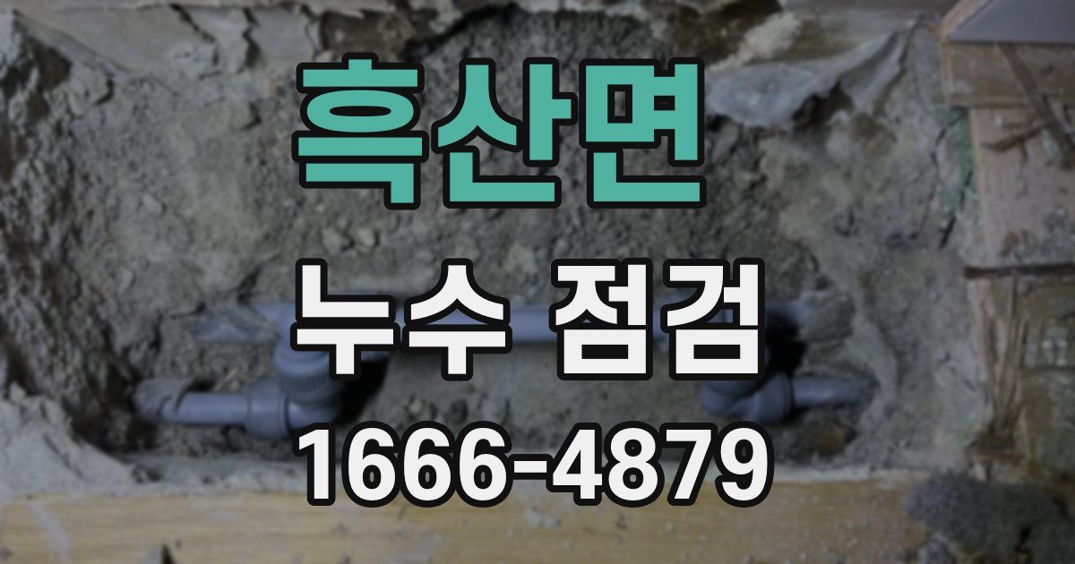 흑산면 누수 점검