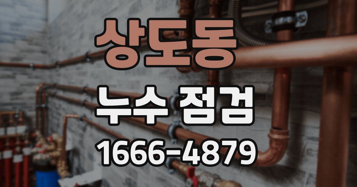 상도동 누수 점검