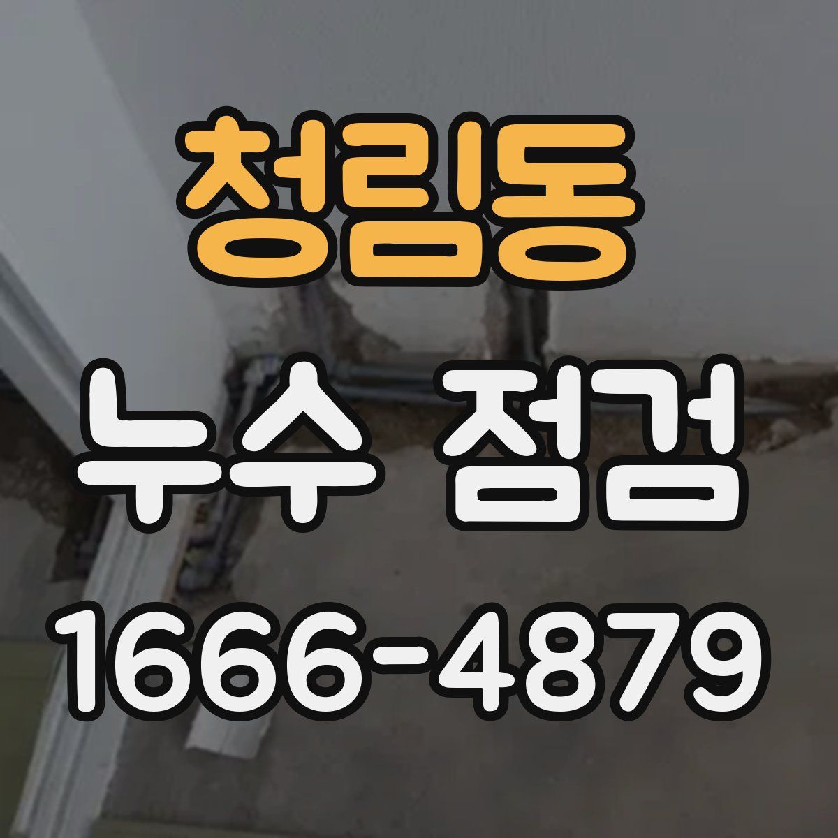 청림동 누수 점검