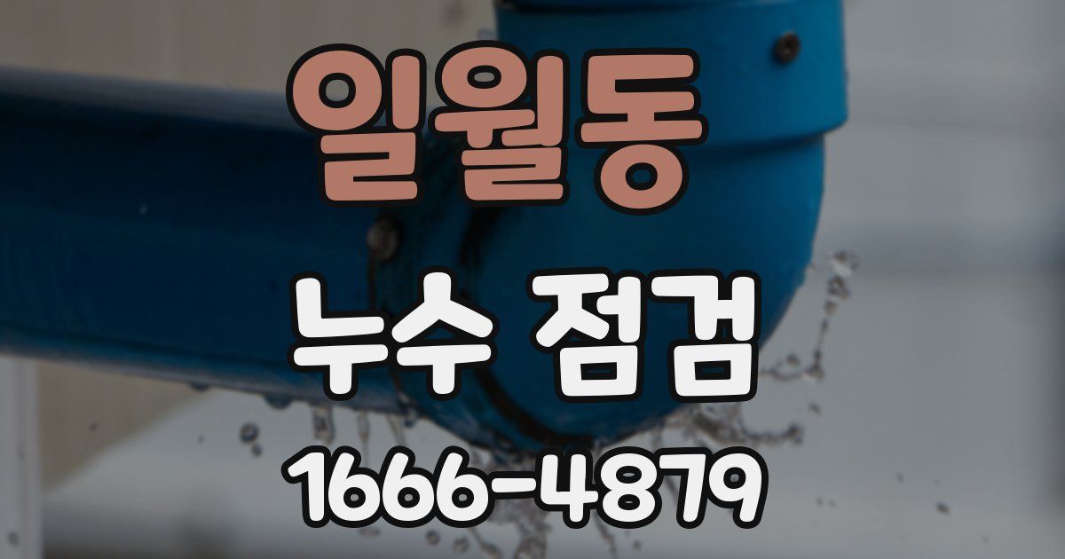일월동 누수 점검
