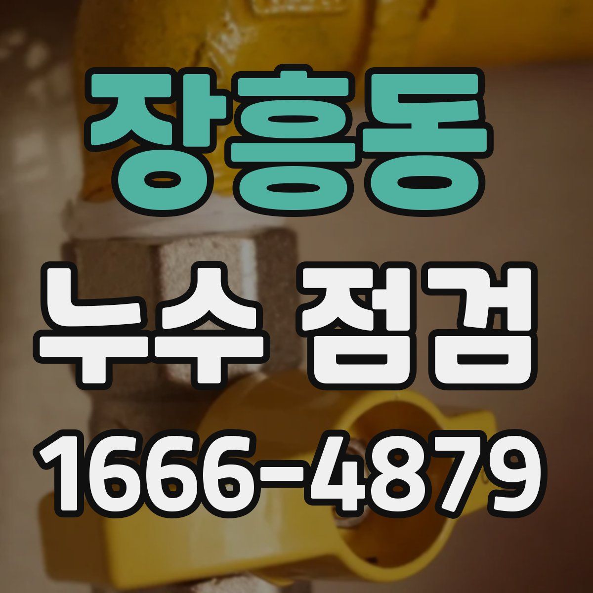 장흥동 누수 점검