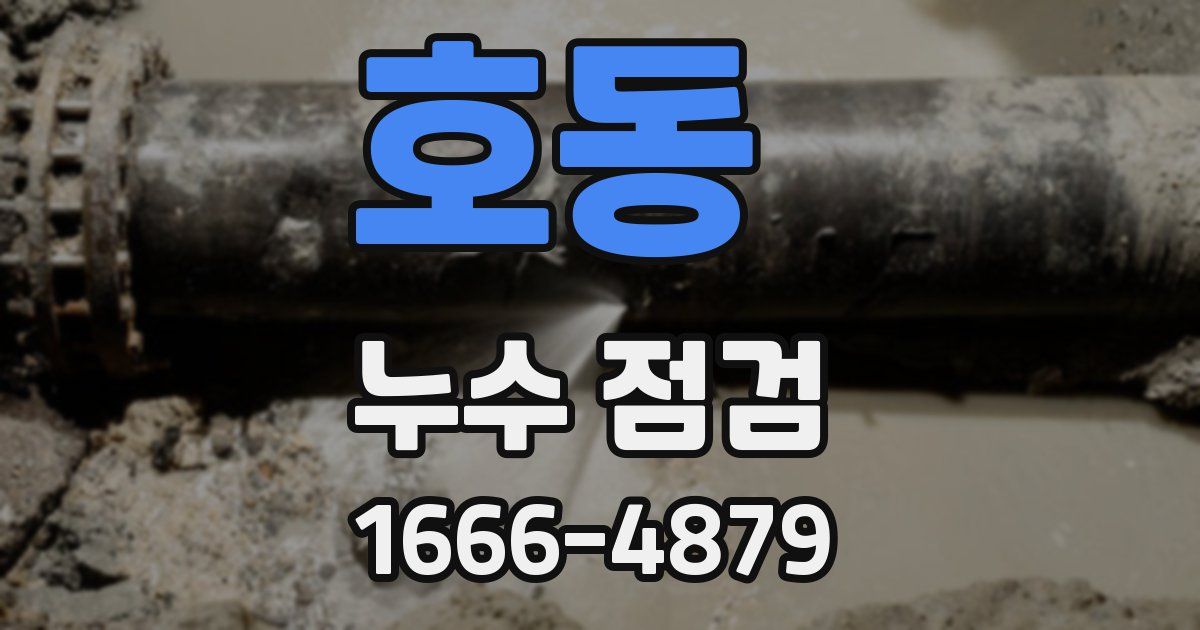 호동 누수 점검