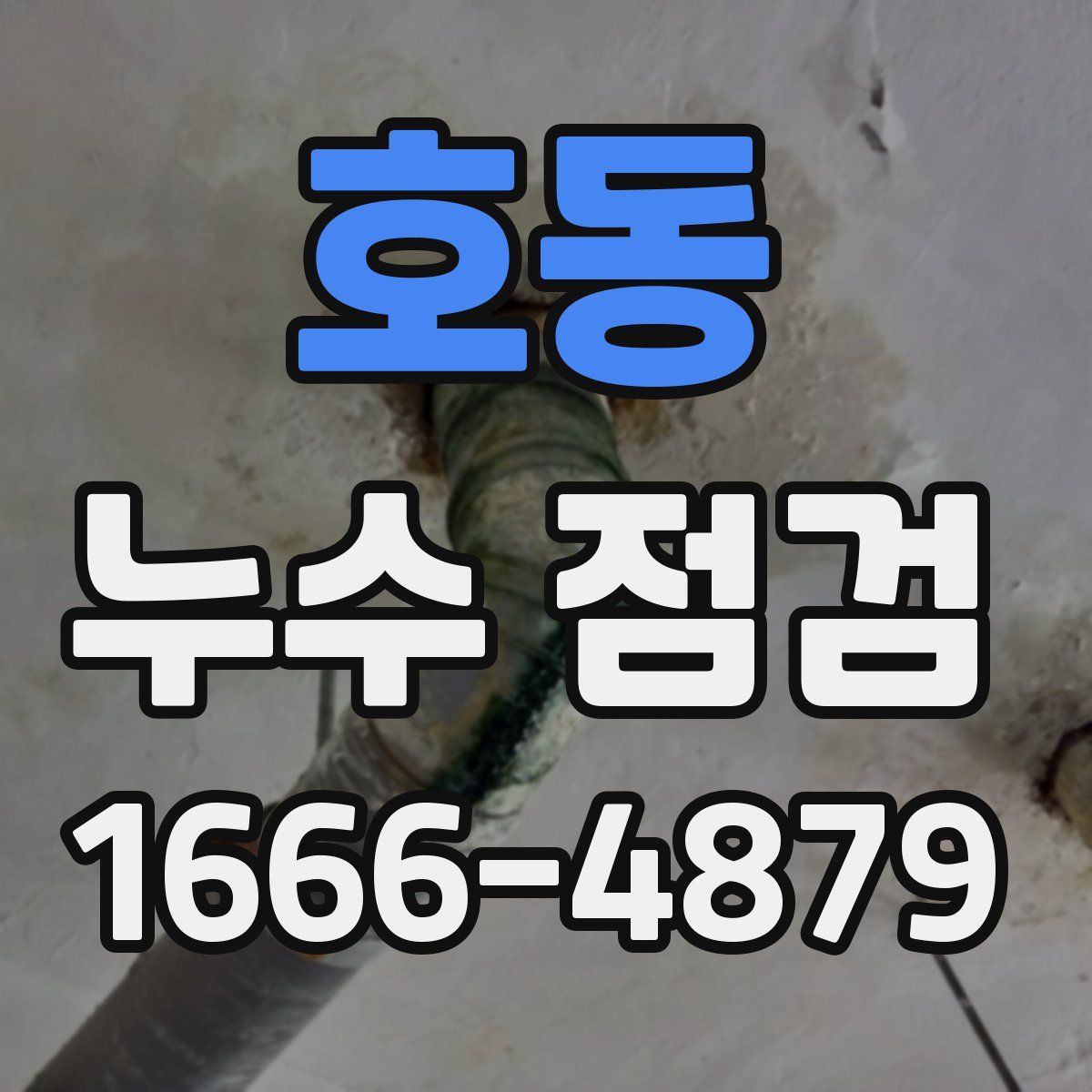 호동 누수 점검