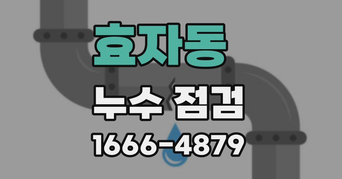 효자동 누수 점검