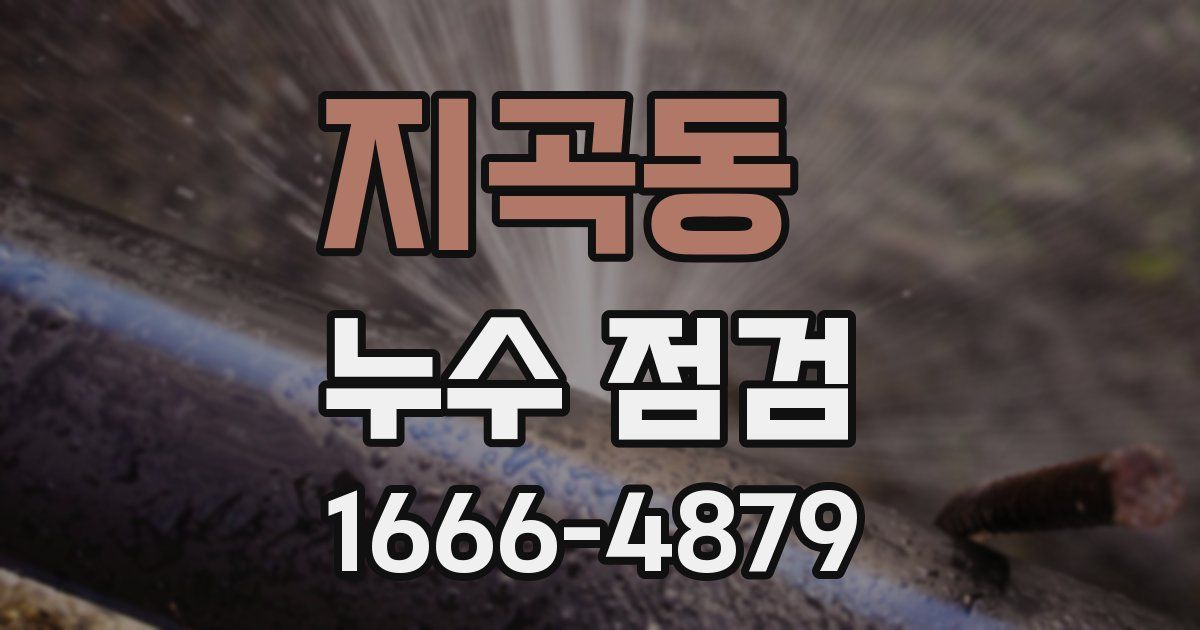 지곡동 누수 점검