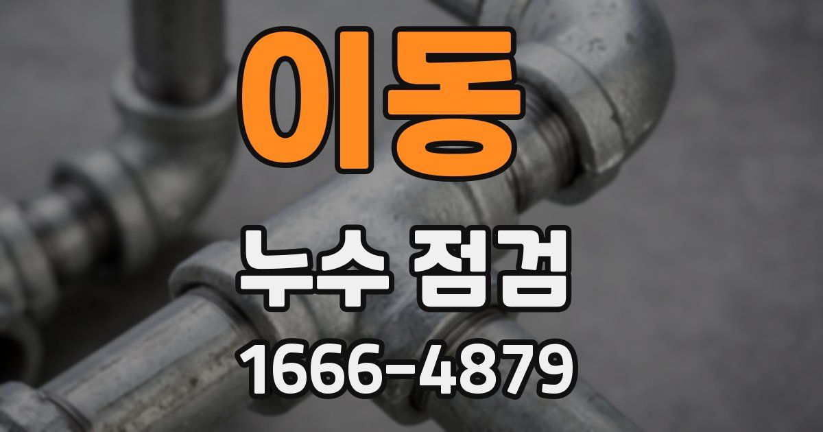 이동 누수 점검