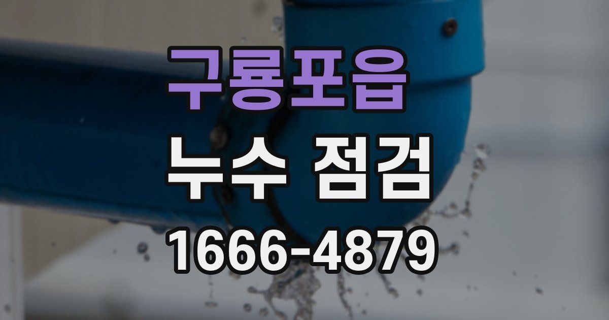 구룡포읍 누수 점검