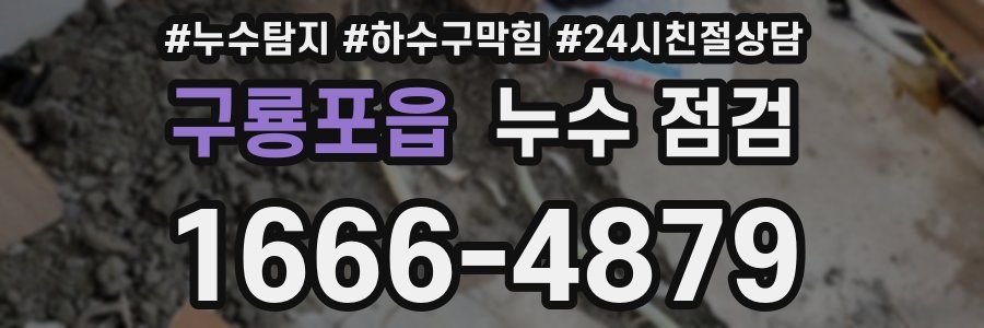 구룡포읍 누수 점검