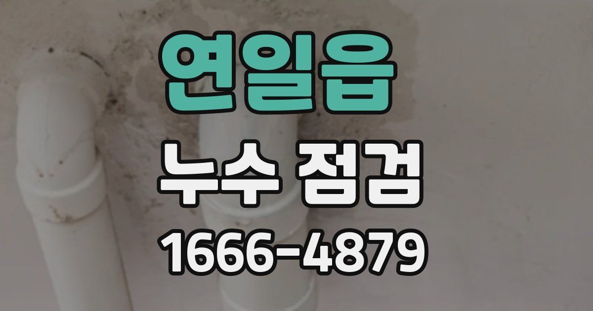 연일읍 누수 점검
