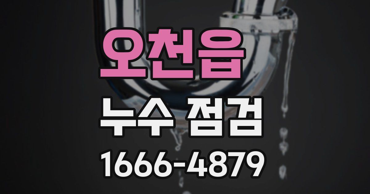 오천읍 누수 점검