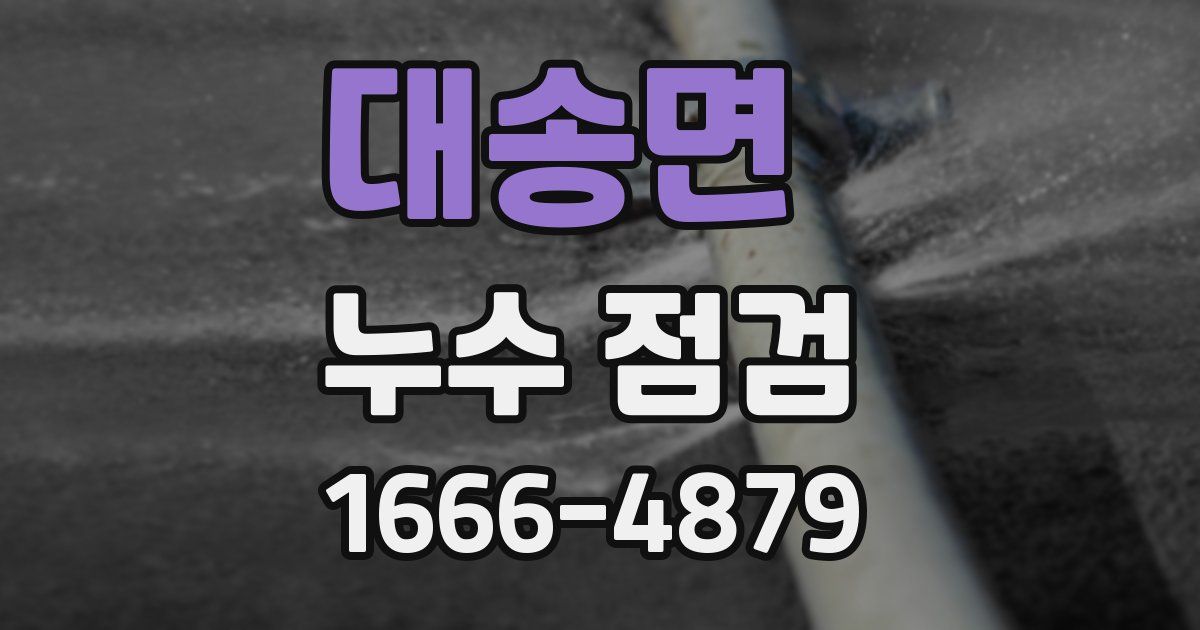 대송면 누수 점검