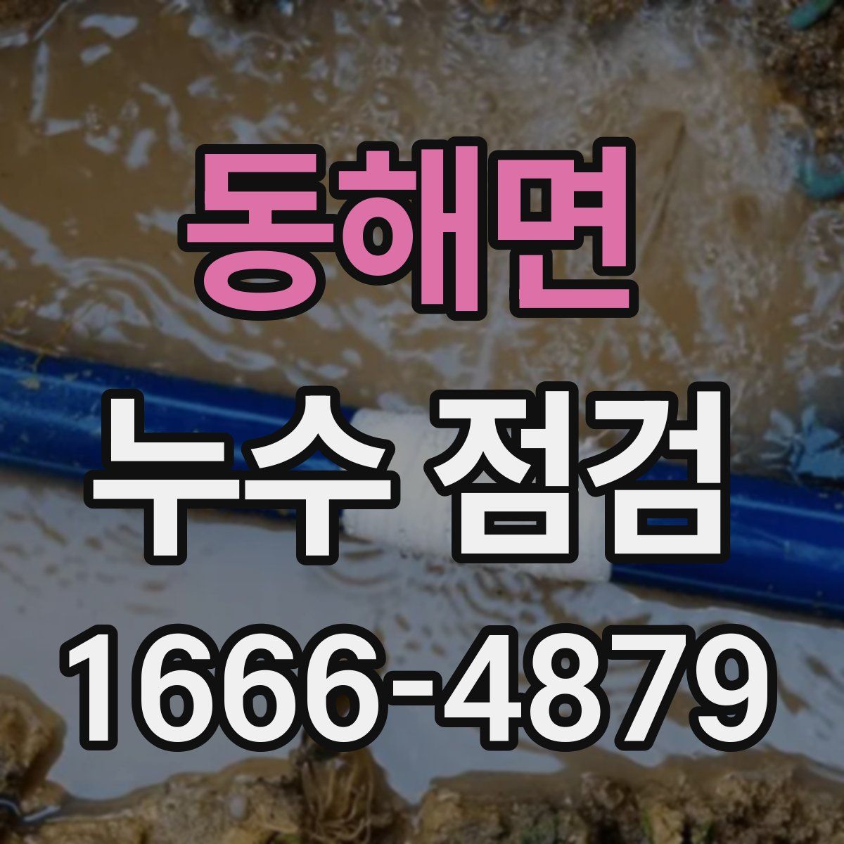 동해면 누수 점검