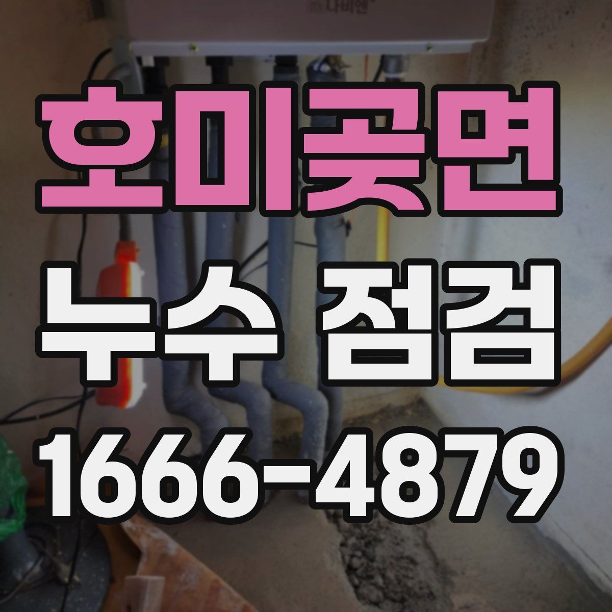 호미곶면 누수 점검