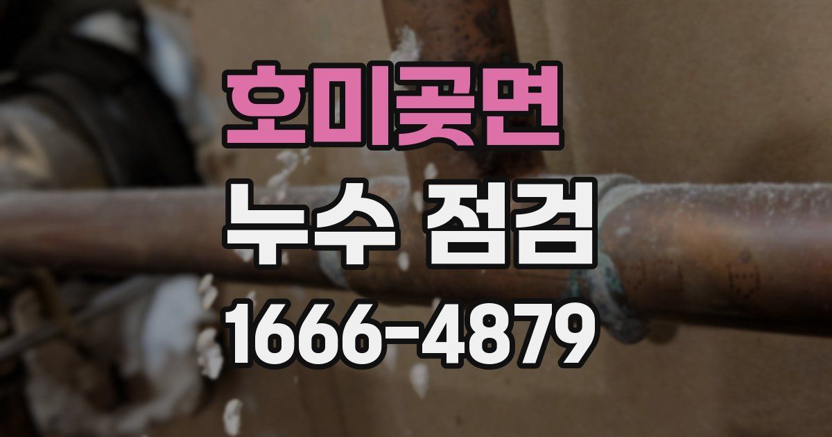 호미곶면 누수 점검