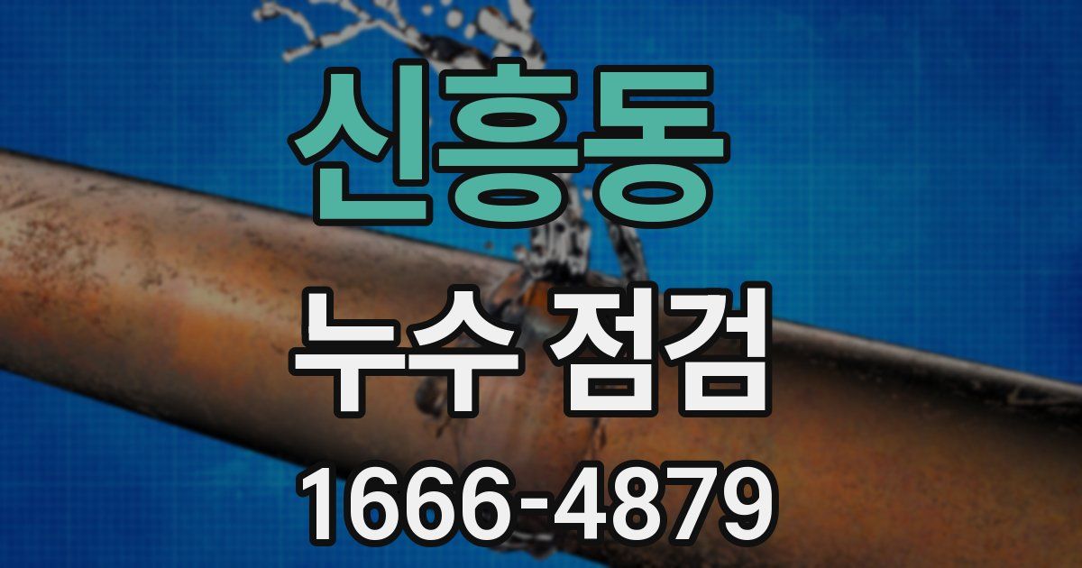 신흥동 누수 점검