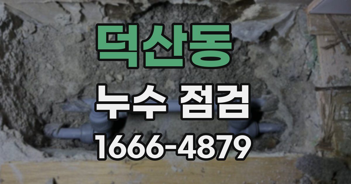 덕산동 누수 점검