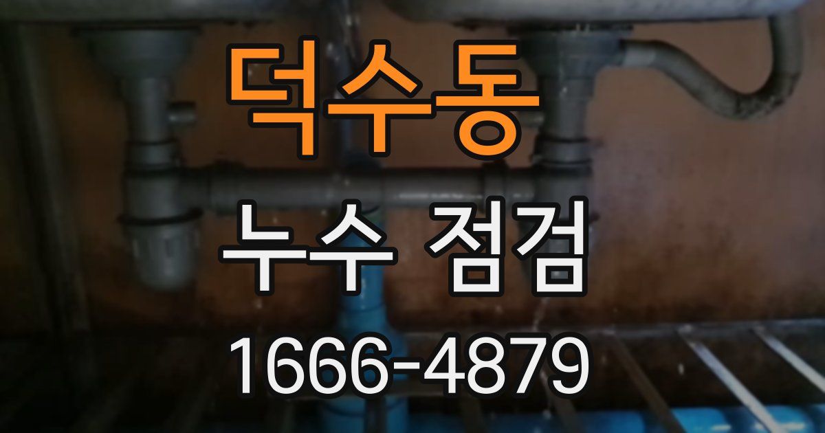 덕수동 누수 점검