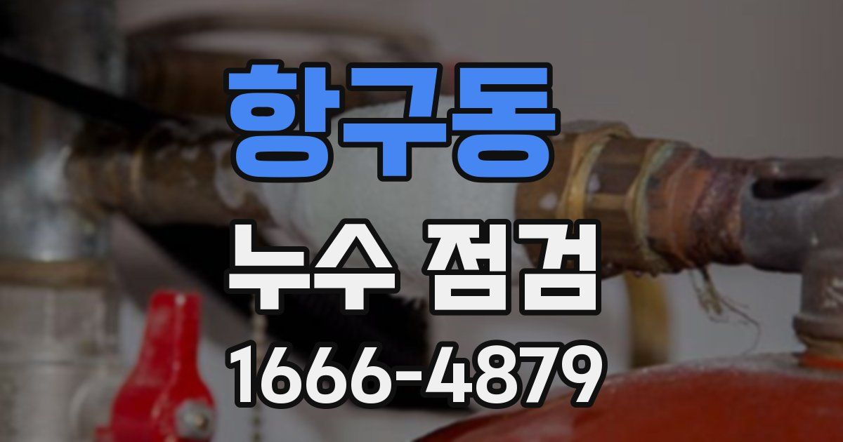 항구동 누수 점검